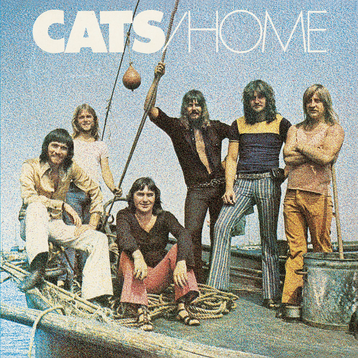 The Cats